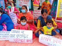 thebengalpost.net