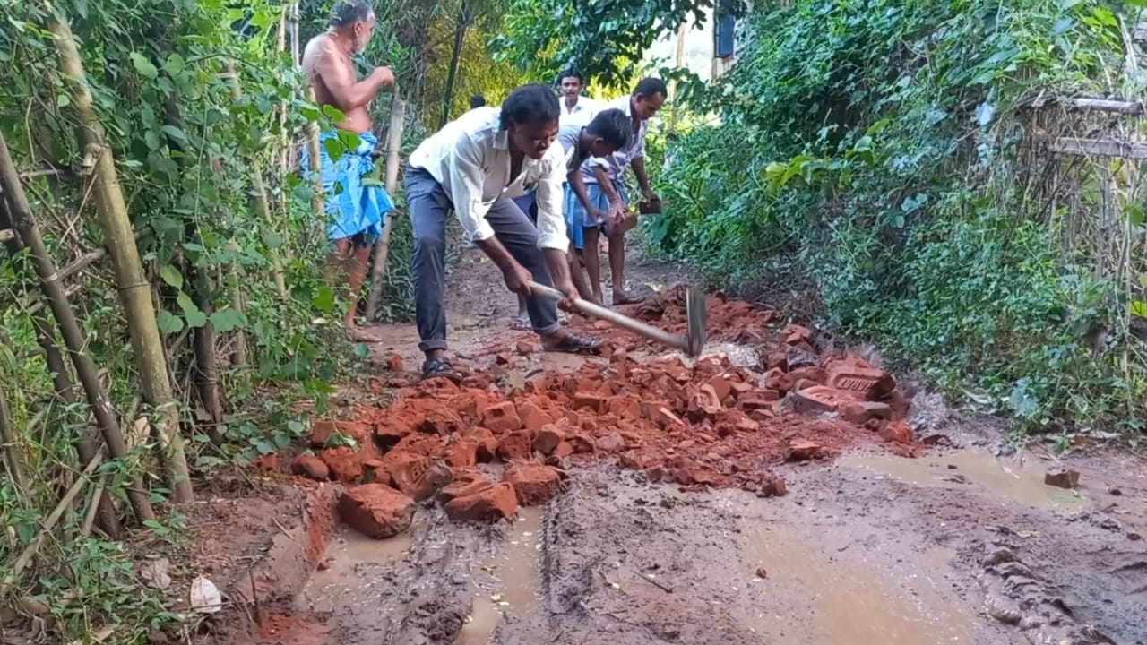 thebengalpost.net