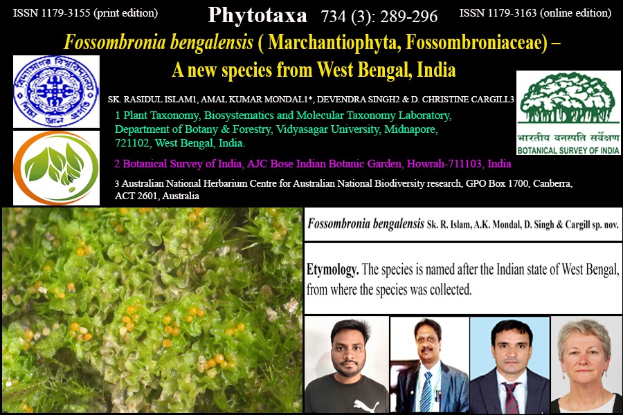 thebengalpost.net