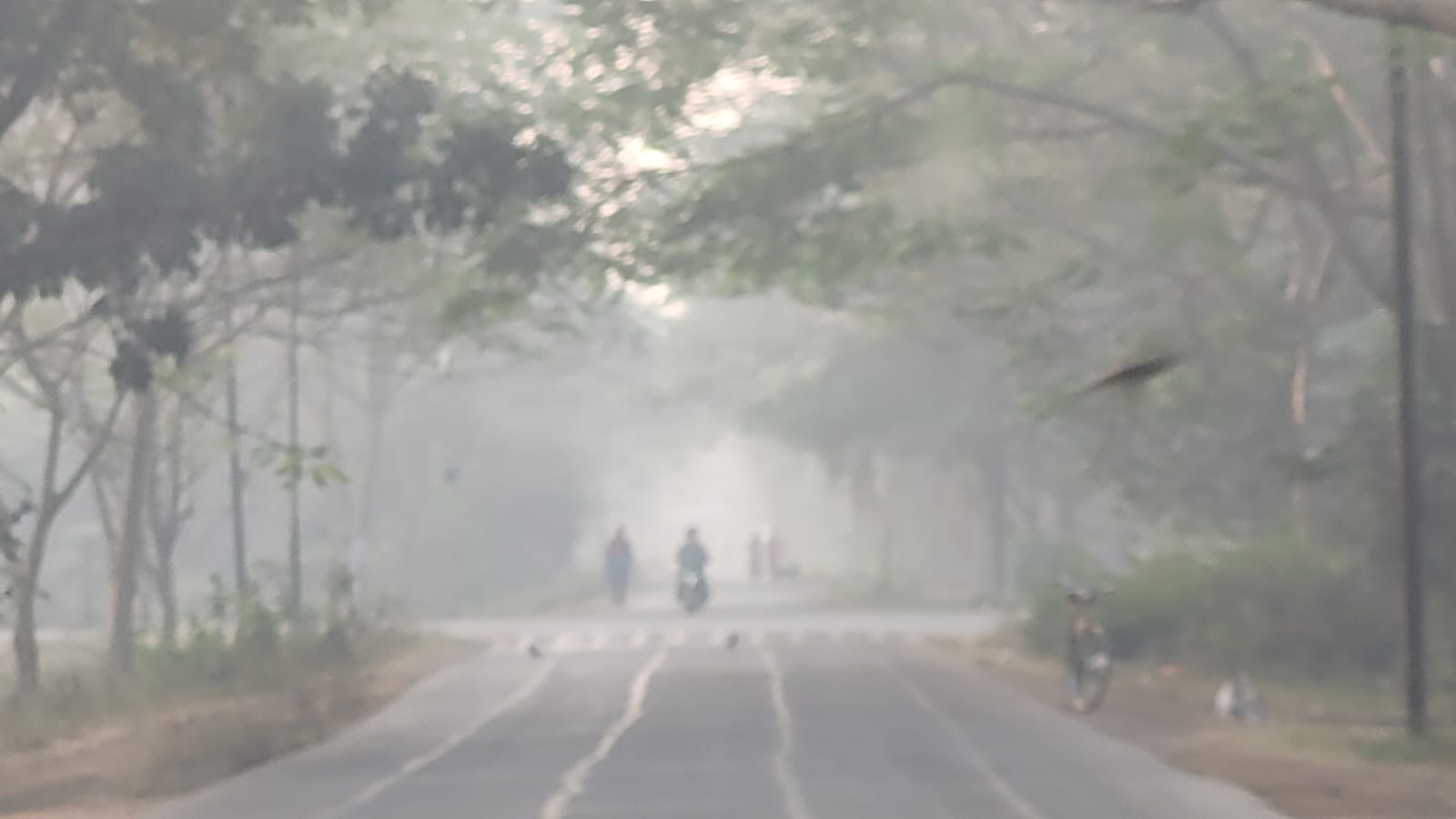 thebengalpost.net